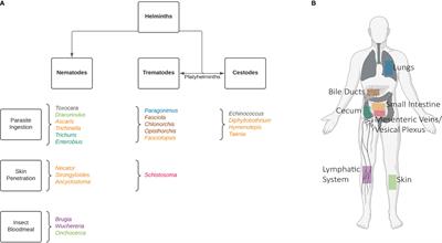 Promising Technologies in the Field of Helminth Vaccines